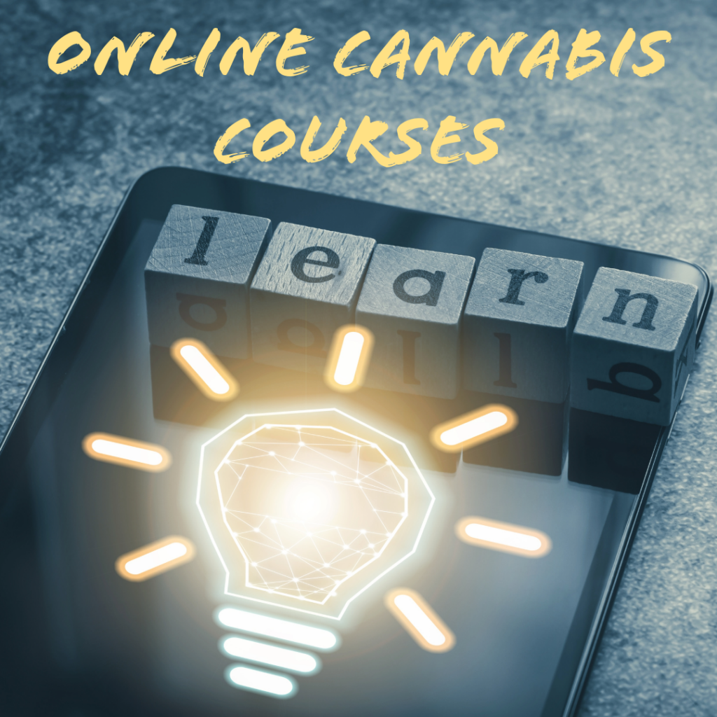Cannabis Course