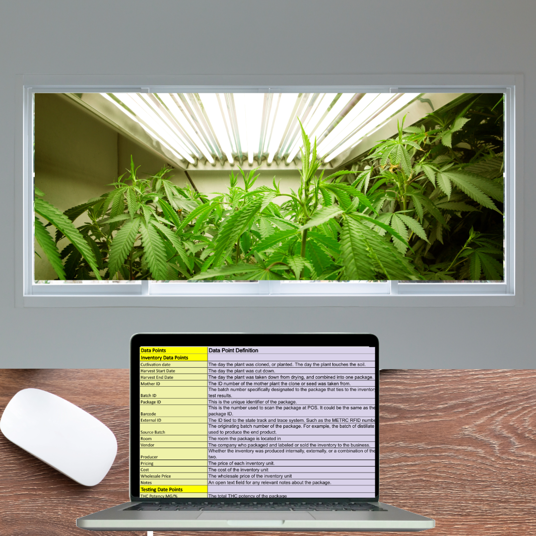 Read more about the article Unlocking the Potential of Cannabis Harvest Data: A Look Into the Future