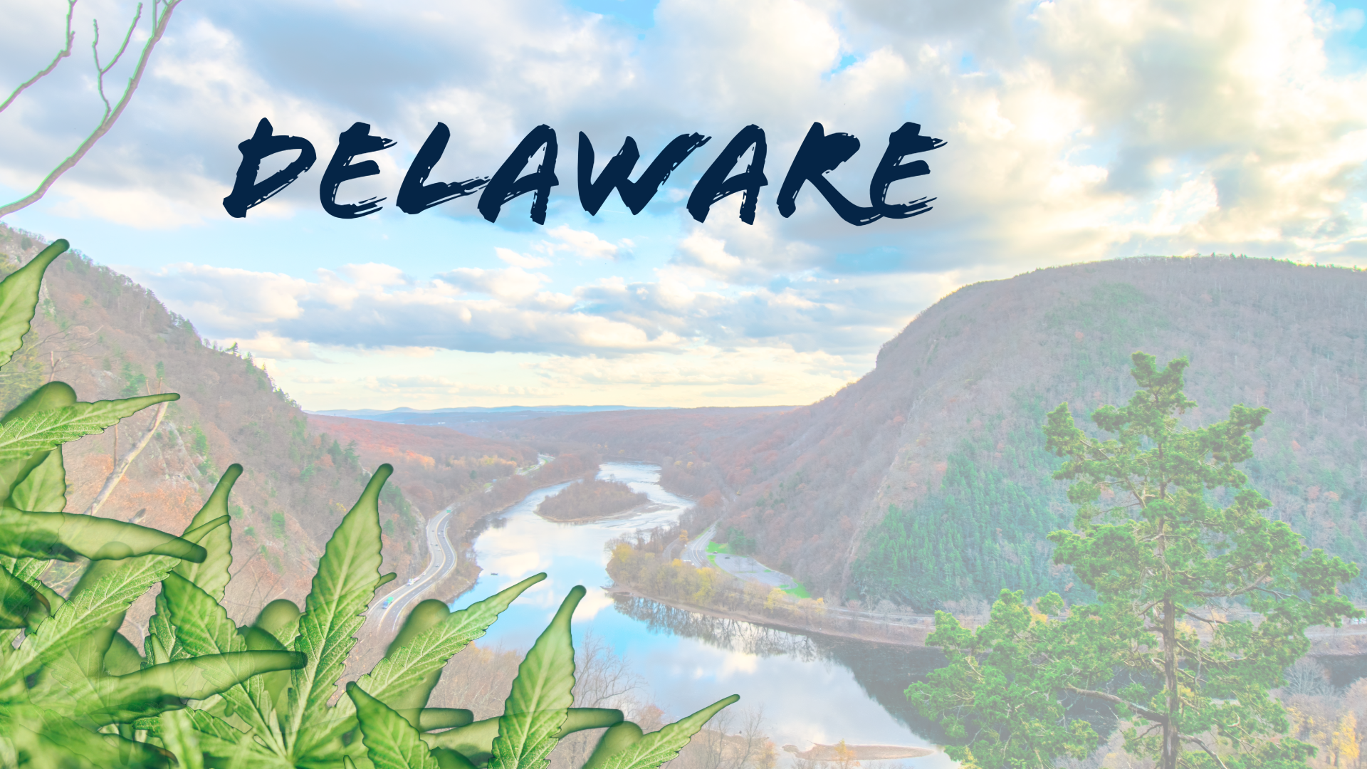 Read more about the article Starting a Cannabis Business in Delaware: Key Legislative Updates and Opportunities