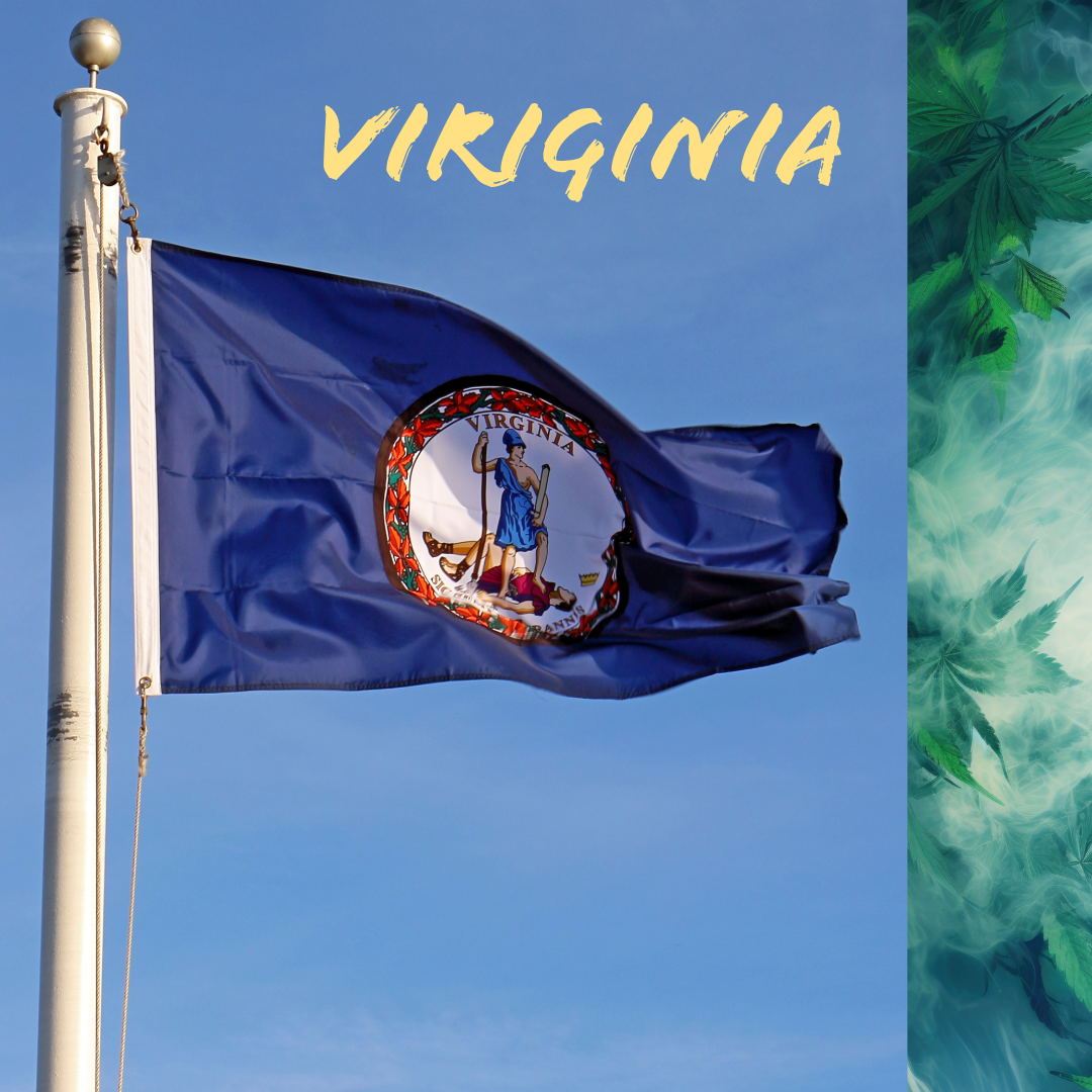 Read more about the article Virginia Cannabis Standard Operating Procedures: A Guide for Businesses