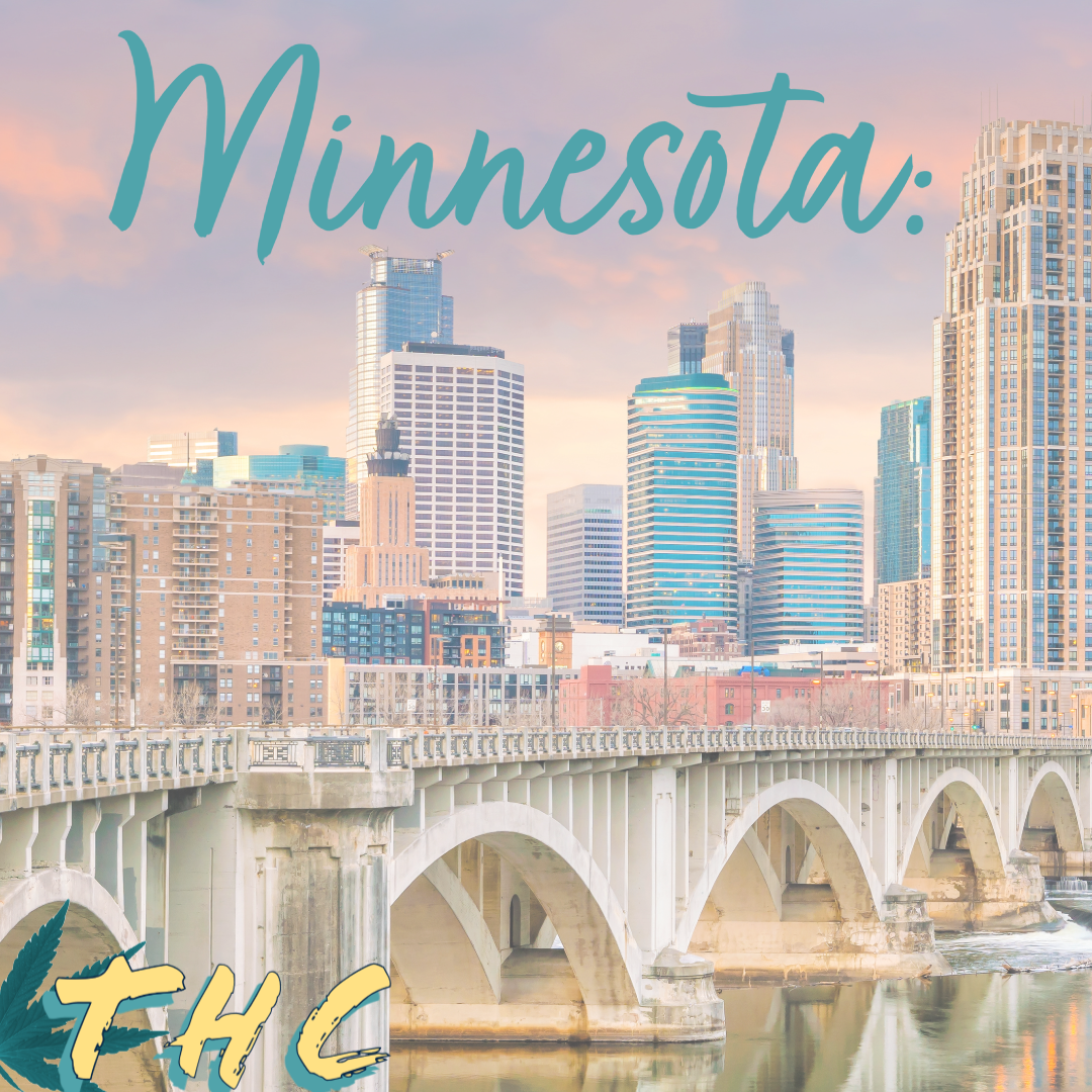 Read more about the article The Current Status of Minnesota Cannabis Business Licensing: What You Need to Know