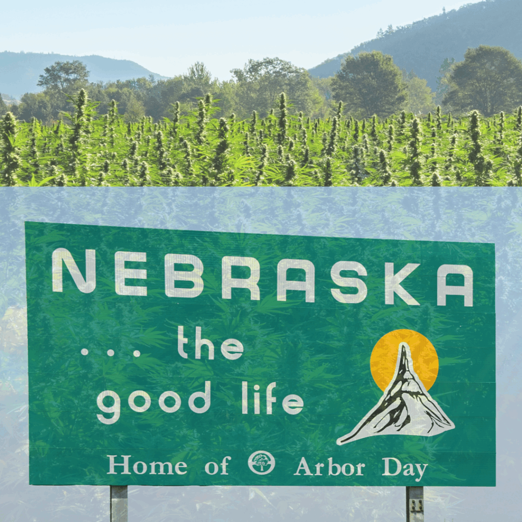 Nebraska Cannabis License